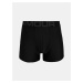 Boxerky Under Armour Tech 3in 2 Pack