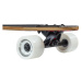 Longboard NILS EXTREME Spider