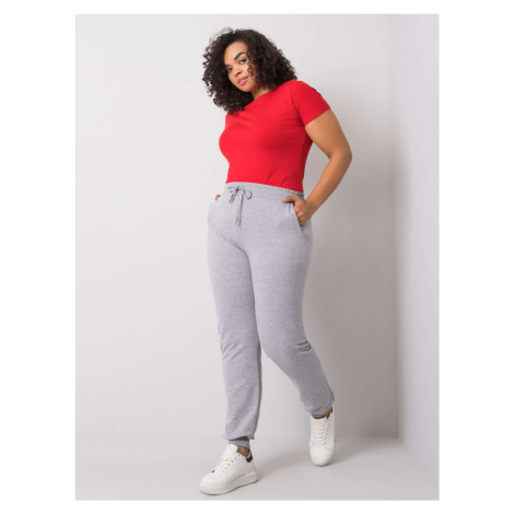 Sweatpants-RV-DR-6301.88-gray