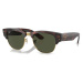 Ray-Ban RB0316S 990/31 - (53-21-145)