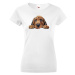 Dámské tričko Bloodhound - tričko pre milovníkov psov