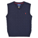 Polo Ralph Lauren  VEST-TOPS-SWEATER  Svetre Námornícka modrá