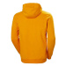 Pánska mikina Helly Hansen Logo Hoodie M 33977-328