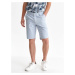 Top Secret MEN'S SHORTS