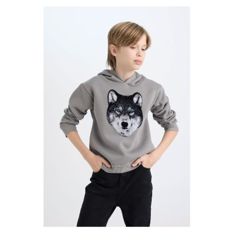 DEFACTO Boy's Hooded Printed Sweatshirt