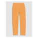 Coccodrillo Teplákové nohavice WC3120101DRK Oranžová Regular Fit