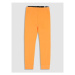 Coccodrillo Teplákové nohavice WC3120101DRJ Oranžová Regular Fit