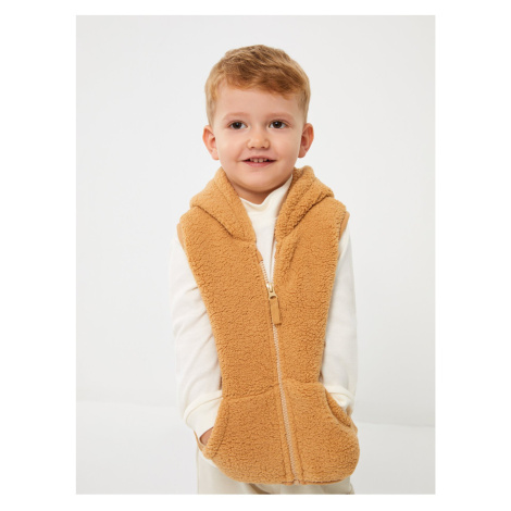 LC Waikiki Hooded Collar Baby Boy Zippered Plush Vest