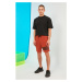 Trendyol Tile Men's Regular Fit Shorts &amp; Bermuda