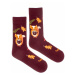Hnedé vzorované ponožky Líškopauza