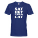 Pánské tričko s potlačou Say hey if you are gay - LGBT pánské tričko