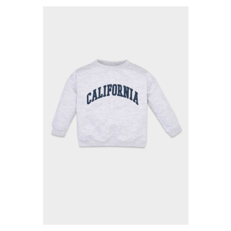 DEFACTO Baby Boy Gray Crew Neck Text Printed Sweatshirt