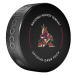 Arizona Coyotes puk Official Game Puck 2022-2023