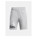 Svetlosivé športové kraťasy Under Armour UA Tech Logo Shorts