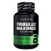 BioTech USA Tribulus Maximus 90 tabliet