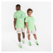 Basketbalové tričko TS 900 NBA Celtics muži/ženy zelené