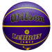 Wilson NBA Player Icon Outdoor Lebron