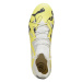 Kopačky Puma Future Match FG/AG M 107370 04