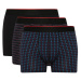 DEFACTO Regular Fit 3-Piece Boxer