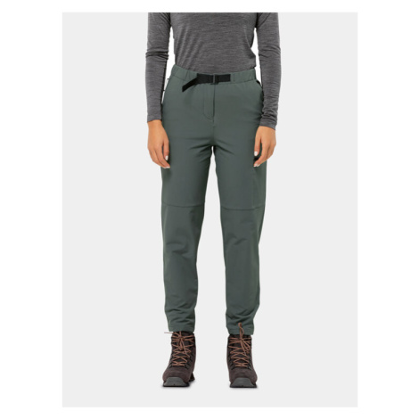 Jack Wolfskin Outdoorové nohavice Wandermood Pants 1508441 Zelená Regular Fit