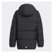 Detská bunda Frosty Jacket Jr HM5205 - ADIDAS 134 cm