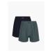 Boxer shorts Atlantic 2MBX-013 A'2 S-3XL navy blue-emerald 02