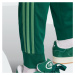 ADIDAS ORIGINALS Nohavice 'Adicolor Classics SST'  kiwi / tmavozelená