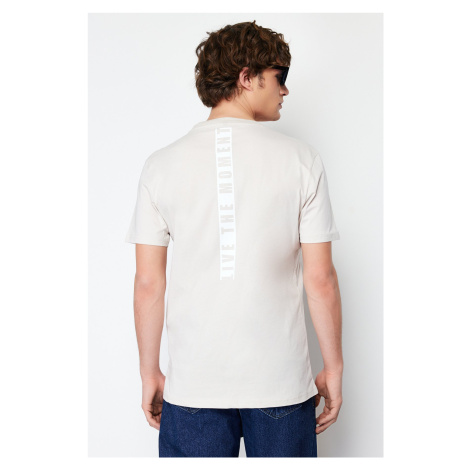 Trendyol Stone Regular/Normal Cut Back Text Printed 100% Cotton Short Sleeve T-Shirt