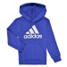 adidas  Essentials Logo Hoodie  Mikiny Modrá