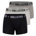 HOLLISTER Boxerky  čierna / biela