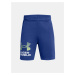 Under Armour Boys' shorts UA Tech Logo Shorts - Boys