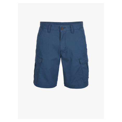 Modré pánske šortky O'Neill BEACH BREAK CARGO SHORTS