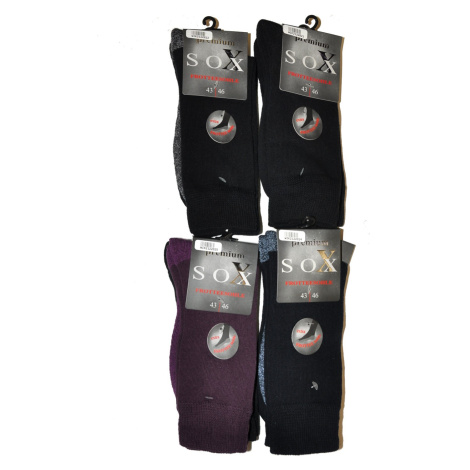 Pánske ponožky WIK 21220 Premium Sox Frotte