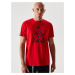 Diverse Men's printed T-shirt DKR 0122