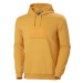 Pánska mikina Helly Hansen Logo Hoodie M 33977-364