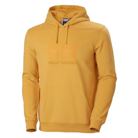 Pánska mikina Helly Hansen Logo Hoodie M 33977-364