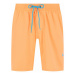 Nike Plavecké šortky Solid Vital NESS9431 Oranžová Regular Fit