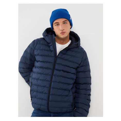 LC Waikiki Standard Mold Hooded Men's Puffer Coat