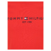 TOMMY HILFIGER Tričko  námornícka modrá / ohnivo červená / biela
