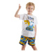 Denokids Dino Goose Boy Summer T-shirt Camouflage Shorts Set