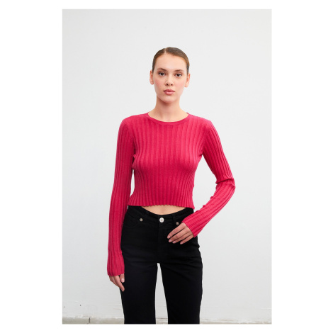 VATKALI Ribbed crop top blouse