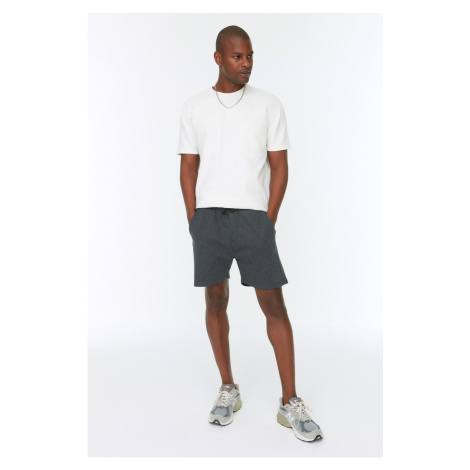 Trendyol Anthracite Men Regular Short Fit Shorts & Bermuda
