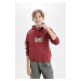 DEFACTO Boy Printed Hooded Kangaroo Pocket Thick Sweatshirt Fabric Sweatshirt