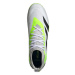 Pánske futbalové kopačky halové ADIDAS Predator Accuracy.3 M IC cloud white core black lucid lem