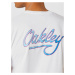 OAKLEY Funkčné tričko  modrá / fialová / biela