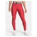 Legíny Under Armour UA HG Authentics Legging