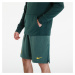 Mikina Nike Men's AC TF Hoodie PO Oakland Athletics Pro Green/ Pro Green