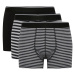 DEFACTO Regular Fit 3-pack Boxer