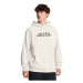 Pánska zateplená mikina s kapucňou UNDER ARMOUR UA Rival Flc Txtr CG Hoodie-WHT