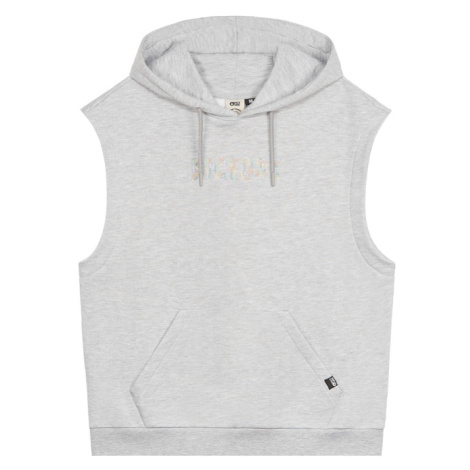 Picture Dunn SS Hoodie